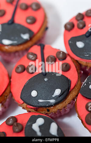 eine hausgemachte Marienkäfer Cupcake in eine Tortenschachtel Stockfoto