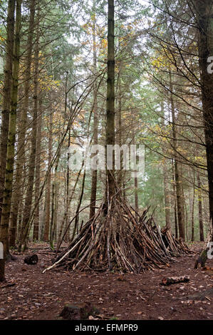 Bäume im Süden Wyre Forest mit einer Höhle verstecken Haus aus Holz und Farn Stockfoto