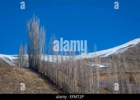 Alborz Berge, Teheran, Iran Stockfoto