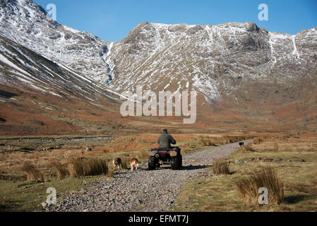 Lakeland Schäfer auf seiner Quadbike im oberen Langdale Tal im Winter englischen Lake District. Stockfoto