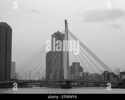 Schwarz / weiß Bild der Sumida Fluss Margen mit Wohnturm und Kreuzung Brücke Stockfoto