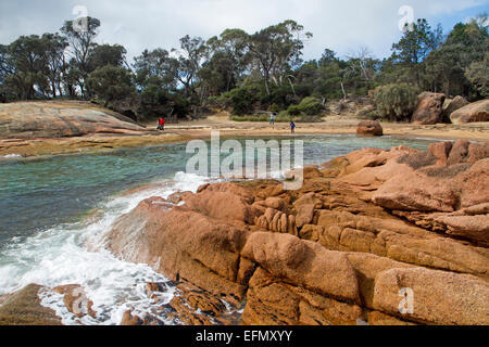 Honeymoon Bay, Freycinet National Park Stockfoto