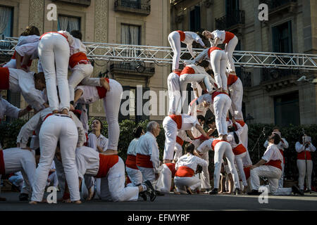 Barcelona, Katalonien, Spanien. 7. Februar 2015. Die "Falken de Barcelona" bauen ihre traditionellen akrobatischen Pyramiden während der St. Eulalia Festlichkeiten in Barcelona Credit: Matthias Oesterle/ZUMA Wire/ZUMAPRESS.com/Alamy Live News Stockfoto