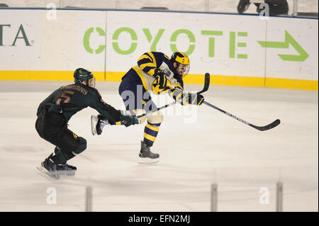 Chicago, Illinois, USA. 7. Februar 2015. 7. Februar 2015: Michigans Justin Selman (10) Punkte auf einem Versuch net während der Coyote Logistik Hockey City Classic NCAA-Eishockey-Spiel zwischen der Michigan State Spartans und der Michigan am Soldier Field in Chicago, IL. Michigan gewann 4: 1. Patrick Gorski/CSM Credit: Cal Sport Media/Alamy Live-Nachrichten Stockfoto