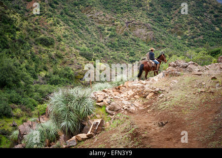 Chilenische Cowboy (Arriero) gekleidet in einem gestreiften Hemd und Hut Fahrten seine rote farbige Pferd auf einem steilen Weg in den Anden Stockfoto