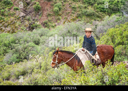 Chilenische Cowboy (Arriero) gekleidet in einem gestreiften Hemd und Hut Fahrten seine rote farbige Pferd auf einem steilen Weg in den Anden Stockfoto