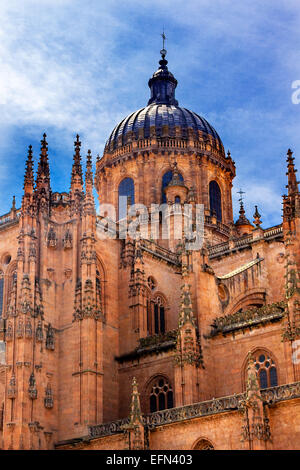 Stone Kuppel neue Salamanca Kathedrale Spaniens. Stockfoto