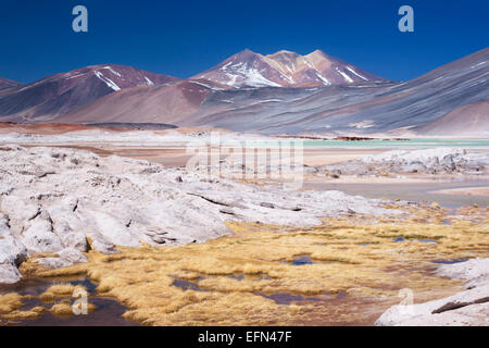 Miscanti Vulkan und Hochplateau Lagune in San Pedro de Atacama Wüste, Chile, Südamerika Stockfoto
