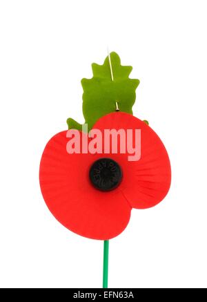 Royal British Legion Mohn Appell Gedenktag Mohn Stockfoto