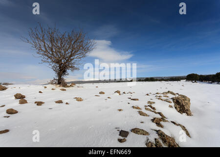 Schneelandschaft. Fotografiert in den Golanhöhen, Israel Stockfoto