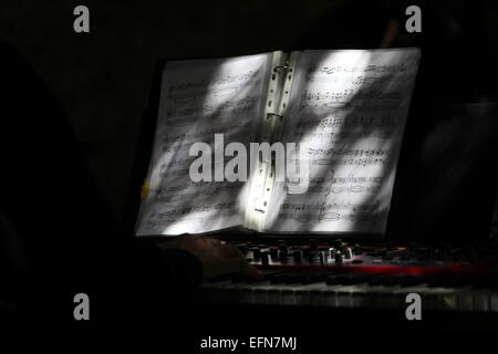 Noten im gefleckten Licht Stockfoto