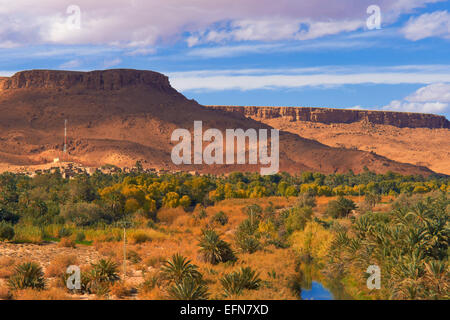 Tafilalet Oase, Oase Tafilalt, Ziz River, du Ziz, Ziz Tal, Ziz