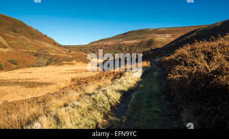 Herbstfärbung in den weiten des oberen Derwent Valley im Peak District, Derbyshire. Stockfoto