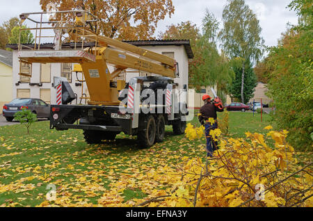 Schneiden von Ästen auf den Bäumen auf dem Auto mit dem Lift. Die Arbeitskraft schneidet Zweige eine Benzin-Kettensäge. Stockfoto