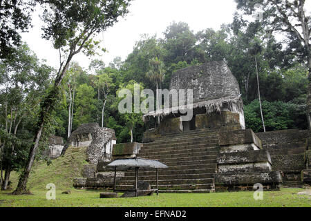 Maya-Tempel im Tikal National Park Stockfoto