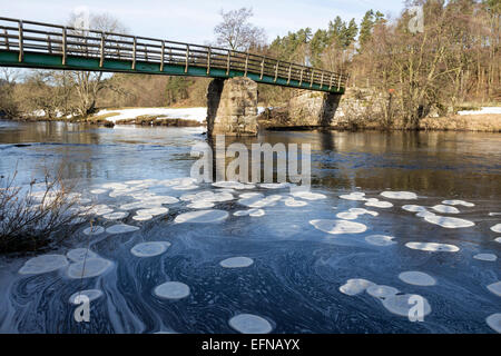 Holwick Kopf Brücke, obere Teesdale, County Durham. Großbritannien Wetter. Eis-Pfannkuchen auf dem River Tees wegen der anhaltenden Kälte bilden.  Diese gefrorenen Eis Scheiben nur Form bei Temperaturen weit unter dem Gefrierpunkt über Nacht Tauchen und dann wie sie tagsüber Tauwetter in einander stoßen und abgerundete Platten zu erstellen. Bildnachweis: David Forster/Alamy Live-Nachrichten Stockfoto