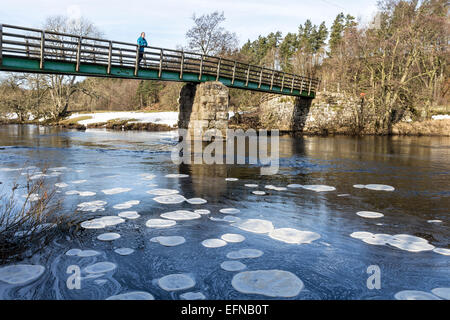 Holwick Kopf Brücke, obere Teesdale, County Durham. Großbritannien Wetter. Eis-Pfannkuchen auf dem River Tees wegen der anhaltenden Kälte bilden.  Diese gefrorenen Eis Scheiben nur Form bei Temperaturen weit unter dem Gefrierpunkt über Nacht Tauchen und dann wie sie tagsüber Tauwetter in einander stoßen und abgerundete Platten zu erstellen. Bildnachweis: David Forster/Alamy Live-Nachrichten Stockfoto