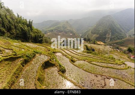 Reisfelder auf terrassierten Cat Cat Dorf, Sapa Vietnam. Stockfoto