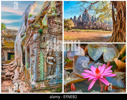 Alten Baumwurzeln und Lotusblüte, Angkor, collage Stockfoto