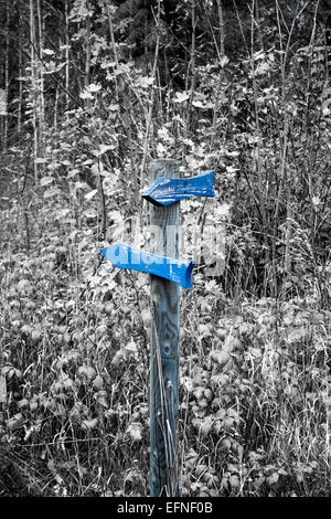 Blue Trail Markierungspfeile Stockfoto