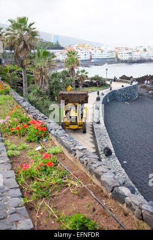 JCB Bagger arbeiten an Promenade, Puerto De La Cruz, Teneriffa, Kanarische Inseln, Las Canarias, Spanien Stockfoto