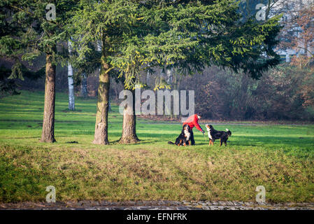 Mann mit Hund im Park entlang Flusses Becva, Teplice nad Bečvou, Tschechische Republik. Stockfoto