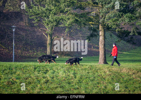 Mann mit Hund im Park entlang Flusses Becva, Teplice nad Bečvou, Tschechische Republik. Stockfoto