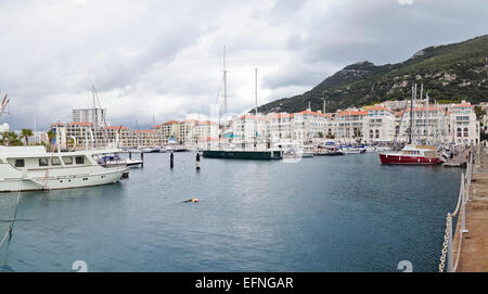 Gibraltar Rock. Yachten und Boote in der Queensway Quay Marina, Gibraltar, Vereinigtes Königreich, UK. Stockfoto