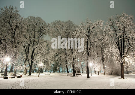 Winter Park abends mit Schnee bedeckt. Stockfoto