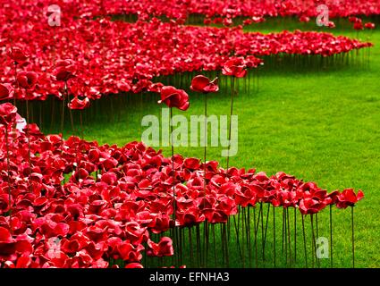 Blick auf die Kunstinstallation "Blut Mehrfrequenzdarstellung Länder und Meere of Red" in Gedenken an den ersten Weltkrieg Centenary am Tower of London 3. November 2014 in London. Der trockene Graben des Tower of London hat mit 888.246 Keramik Mohn, eine für jedes Briten und kolonialen gefüllt worden Todesfall während des Krieges. Stockfoto