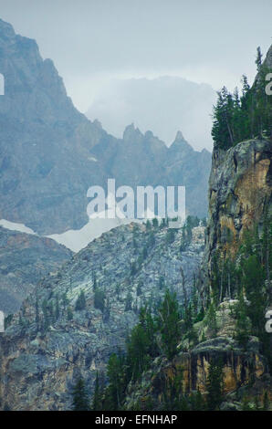 Ansicht von oben des Amphitheater Lake Trail in Grand Teton Nationalpark, Wyoming. Stockfoto