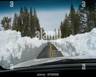 Frühlingspflügen entlang der Strecke von Grant Village zum Lewis Lake im Yellowstone-Nationalpark, fotografiert von Davey Wyatt am 13. April 2011 während der saisonalen Wartung. Stockfoto