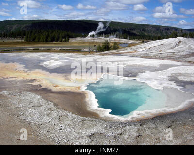 Herz Frühling Herz Frühling in Upper Geyser Basin mit Castle Geyser und Bison im Hintergrund; Diane Renkin; September 2010;  Katalog #18850 d; Original #DSCN4879 Stockfoto