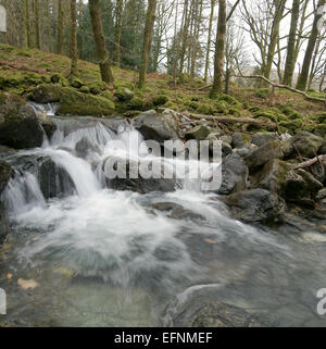 Wasserfall auf den steilen Aufstieg auf Cadair Idris entlang des Flusses Nant Cadair Stockfoto