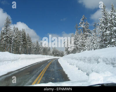 Das Foto zeigt die frühlingshafte Strecke vom Lake nach Grant im Yellowstone-Nationalpark. Diese Gegend ist bekannt für ihre geothermischen Eigenschaften und die malerische Aussicht, die Ihnen einen Einblick in die saisonalen Aktivitäten des Parks bietet. Stockfoto