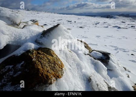Cadir Idris im Winter im Schnee Stockfoto