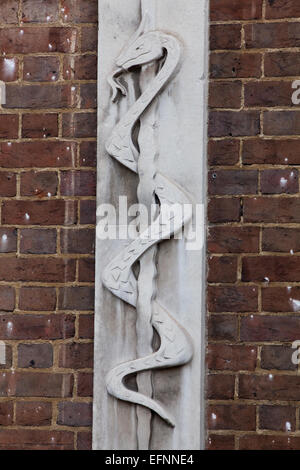 Bas-Relief eines verschlungenen Äskulapnatter (Zamensis longissimus longissimus Elaphe), früher. Logo. Hier auf einer Außenwand des St. Bartholomew's Hospital, Charterhouse Square, Barbican, London. ​ Stockfoto