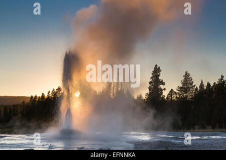 Rosa Kegel Geysir Stockfoto