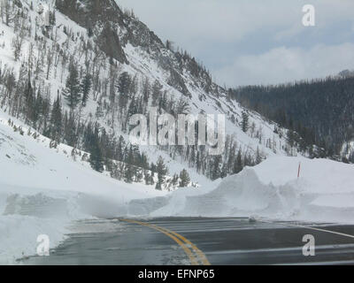 Oberseite des Sylvan Pass in Richtung Osten (2) Frühjahr Pflügen; Davey Wyatt; Frühjahr 2011 Stockfoto