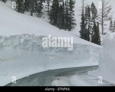 Oberseite des Sylvan Pass in Richtung Osten (4) Frühjahr Pflügen; Davey Wyatt; Frühjahr 2011 Stockfoto