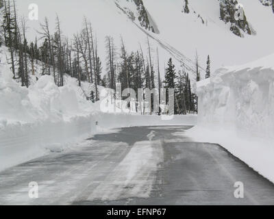 Oberseite des Sylvan Pass in Richtung Osten (5) Frühjahr Pflügen; Davey Wyatt; Frühjahr 2011 Stockfoto