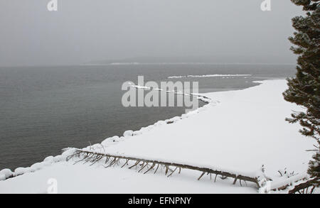 Yellowstone Lake Bridge Bay Area am Yellowstone Lake; Stockfoto