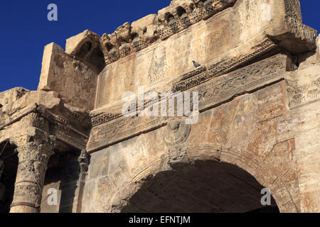 Caracalla Bogen (216), Tebessa, Algerien Stockfoto