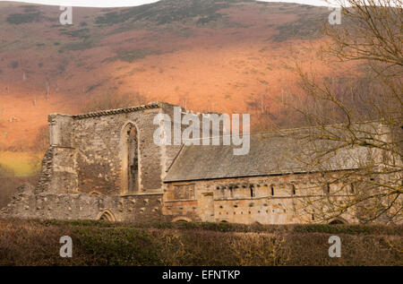 Abendlicht, Valle Crucis Abbey Zisterzienser-Abtei, Llangollen, Denbighshire, Wales, Vereinigtes Königreich Stockfoto