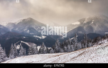 Sonnenuntergang im Winterberge mit dramatischen Licht. Stockfoto
