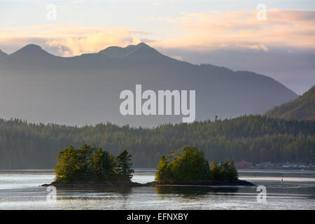 Nordamerika, Kanada, British Columbia, Vancouver Island, Tofino Stockfoto