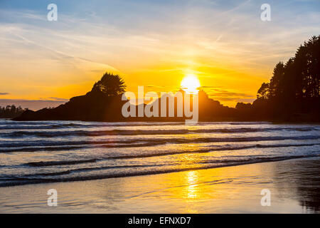 Nordamerika, Kanada, British Columbia, Vancouver Island, Tofino, Cox Bay Stockfoto