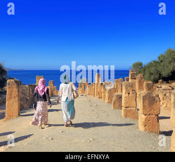 Ruinen der antiken Stadt, Tipaza, Tipaza Provinz, Algerien Stockfoto