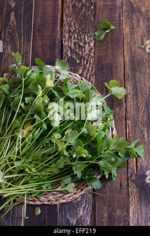 frischer Koriander oder Koriander auf Holzbrett Stockfoto