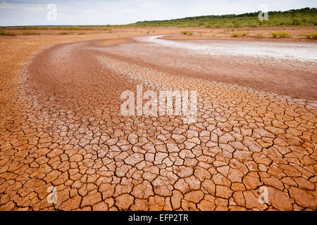 Rissige Erde in Sarigua Nationalpark (Wüste) in der Provinz Herrera, Republik von Panama. Stockfoto